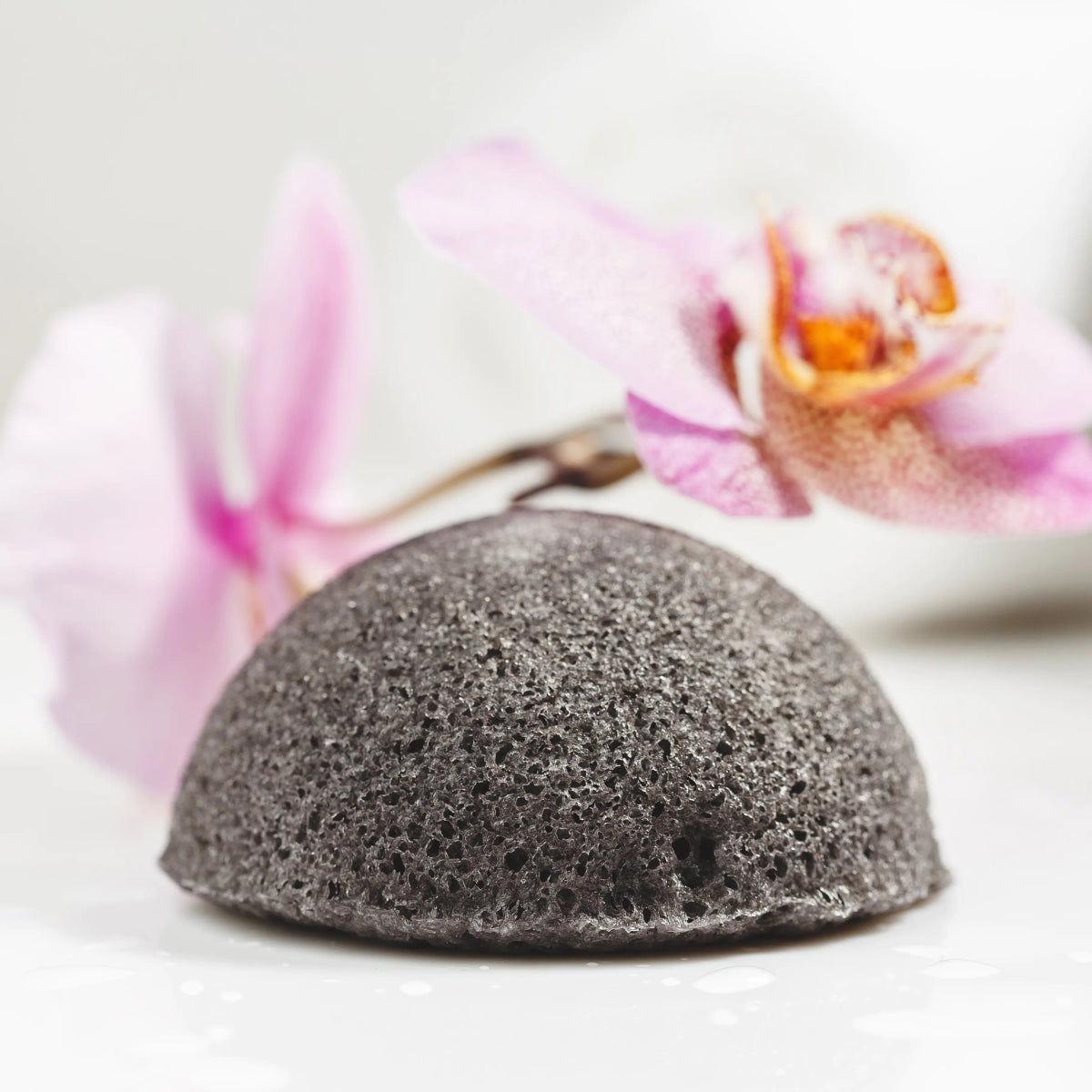 Simply Nature Гъба конджак с активен въглен за мазна кожа, 1бр. - CAMCO Ltd.